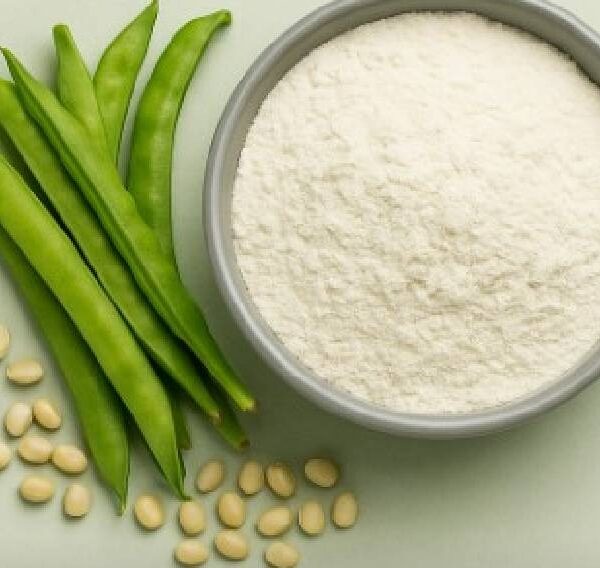 Guar Gum (1) guar gum powder food grade supplier