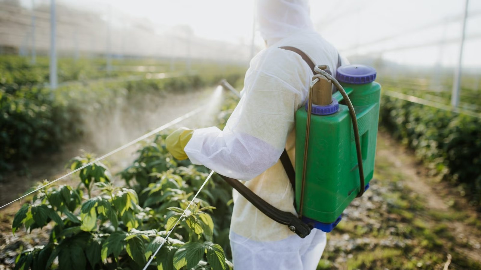 Agricultural Chemicals South Africa | BRF SA