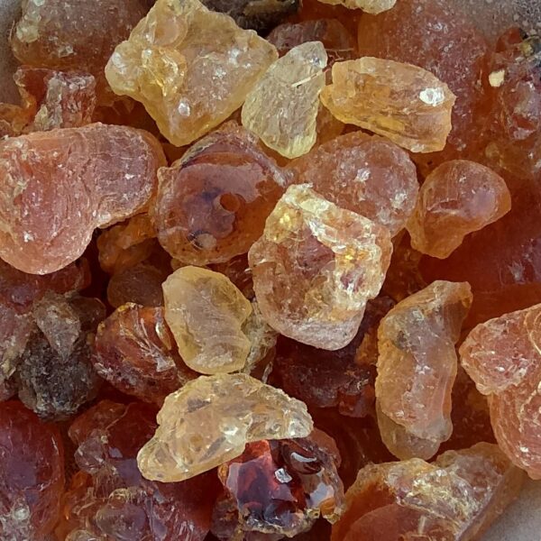 gum arabic (4) acacia gum bulk supply South Africa